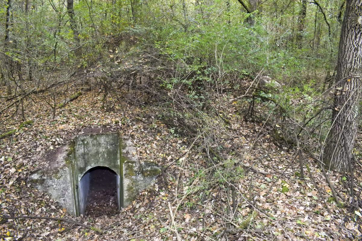 Ligne Maginot - BOIS DE DESSENHEIM CENTRE 1 - (Blockhaus pour arme infanterie) - Entrée et au fond à droite la coupole