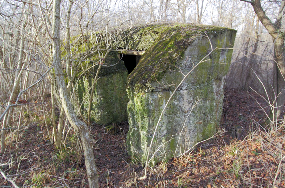 Ligne Maginot - BOIS DE DESSENHEIM SUD 1 - (Divers) - 