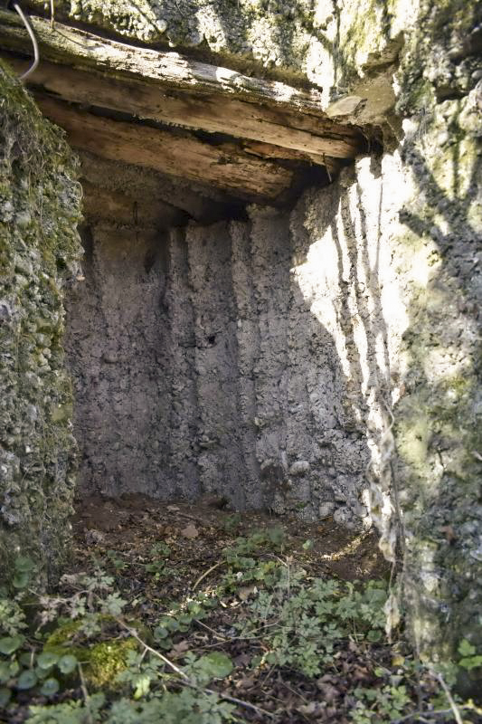 Ligne Maginot - BOIS DE DESSENHEIM SUD 1 - (Divers) - L'entrée.
Le coffrage a été fait de simple rondins - D.Froehly