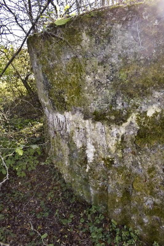 Ligne Maginot - BOIS DE DESSENHEIM SUD 1 - (Divers) - Mur coté est
