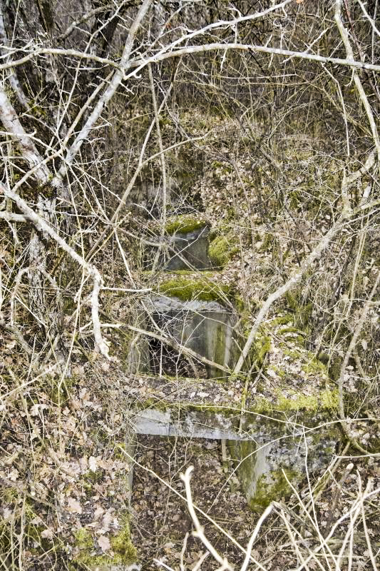 Ligne Maginot - BOIS DE DESSENHEIM SUD 10 - (PC) - Second abri : entrée sud et la tranchée vue du haut