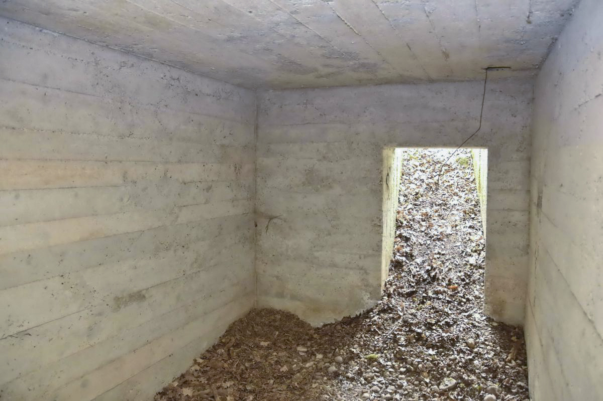 Ligne Maginot - BOIS DE DESSENHEIM SUD 10 - (PC) - Second abri : entrée nord