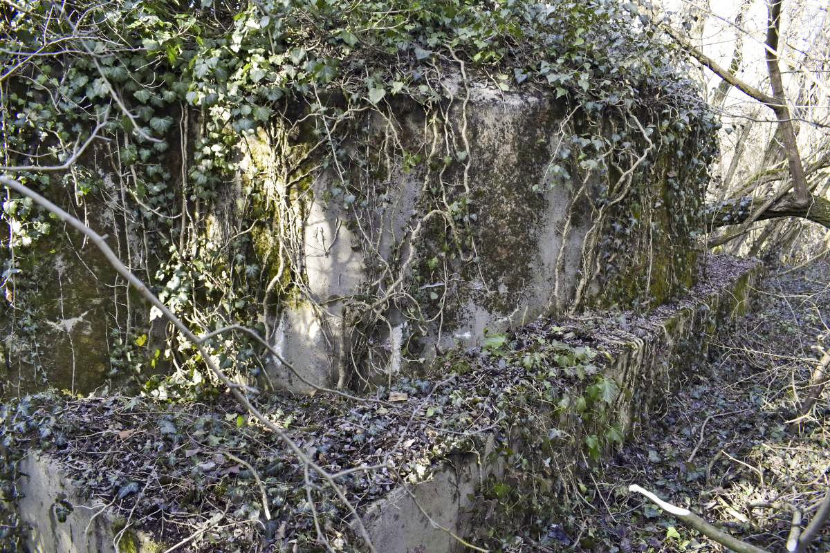 Ligne Maginot - ECLUSE 53 SUD - (Blockhaus pour canon) - Extérieur de la chambre de tir en forme de coupole