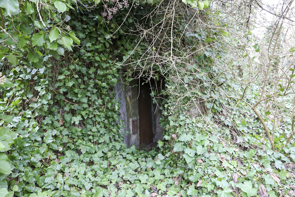Ligne Maginot - ECLUSE 52 SUD - (Blockhaus pour canon) - Entrée