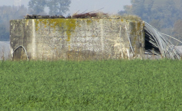 Ligne Maginot - BEF 587c - Les TAILLES 3 (Blockhaus pour arme infanterie) -  - Smardz Félix