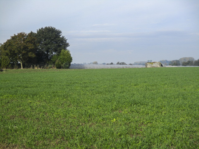 Ligne Maginot - BEF 587c - Les TAILLES 3 (Blockhaus pour arme infanterie) - Situé dans son environnement. - Smardz Félix