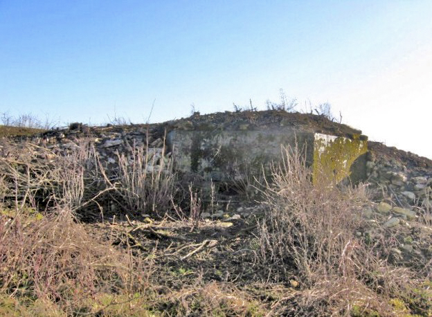 Ligne Maginot - SCHITTEFELD 4 - (Blockhaus pour arme infanterie) - Vue générale - Christian LENHARD