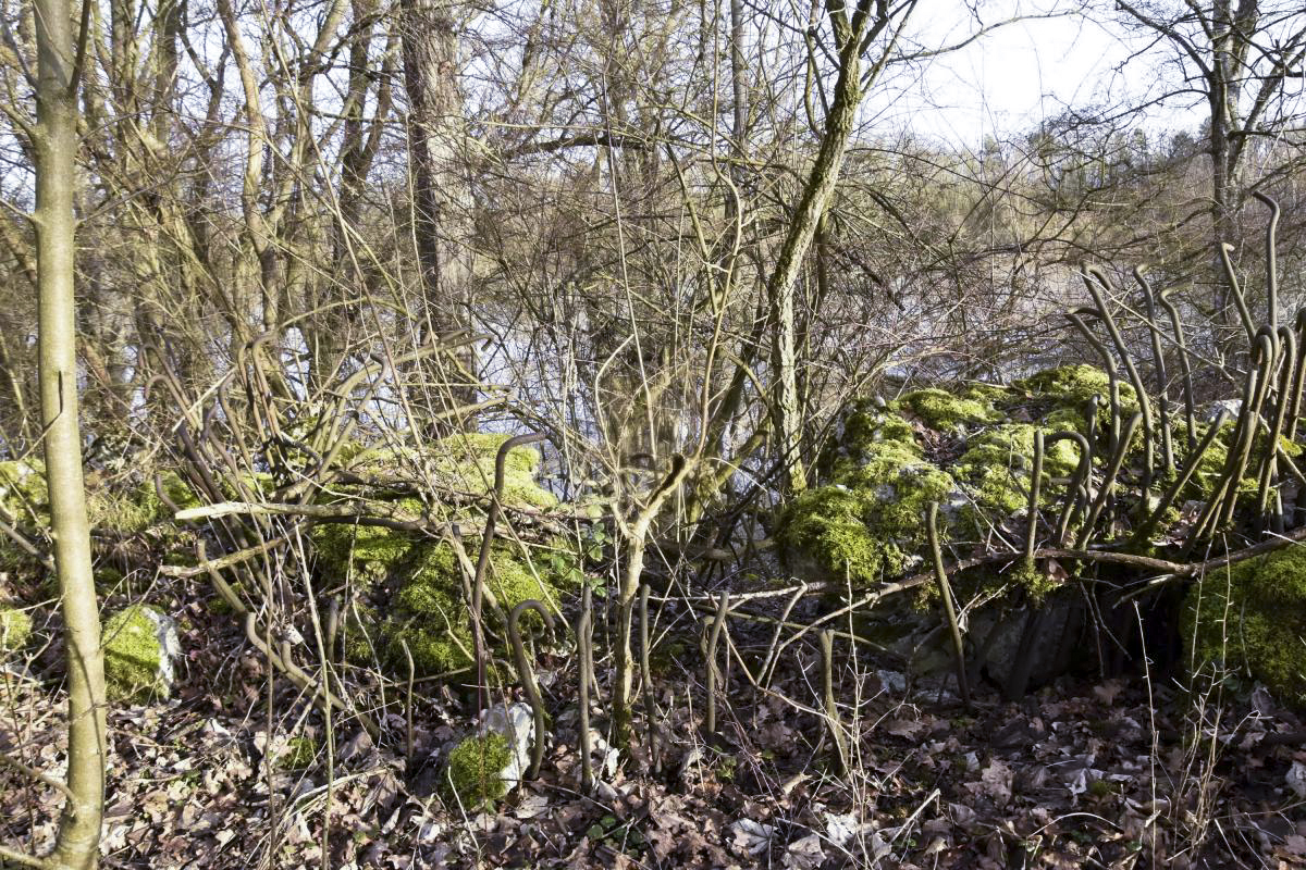 Ligne Maginot - G32 - MUHLWINKEL NORD - (Blockhaus pour arme infanterie) - Restes du blockhaus dynamité