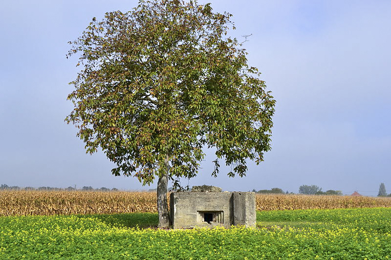 Ligne Maginot - GEISWASSER 1 - (Blockhaus pour canon) - 