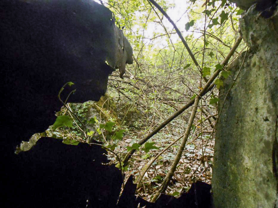 Ligne Maginot - HETTENSCHLAG 4 - (Blockhaus pour arme infanterie) -  - 42RIF