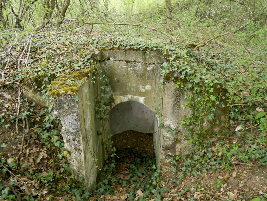 Ligne Maginot - HETTENSCHLAG 4 - (Blockhaus pour arme infanterie) - L'une des entrées - 42RIF