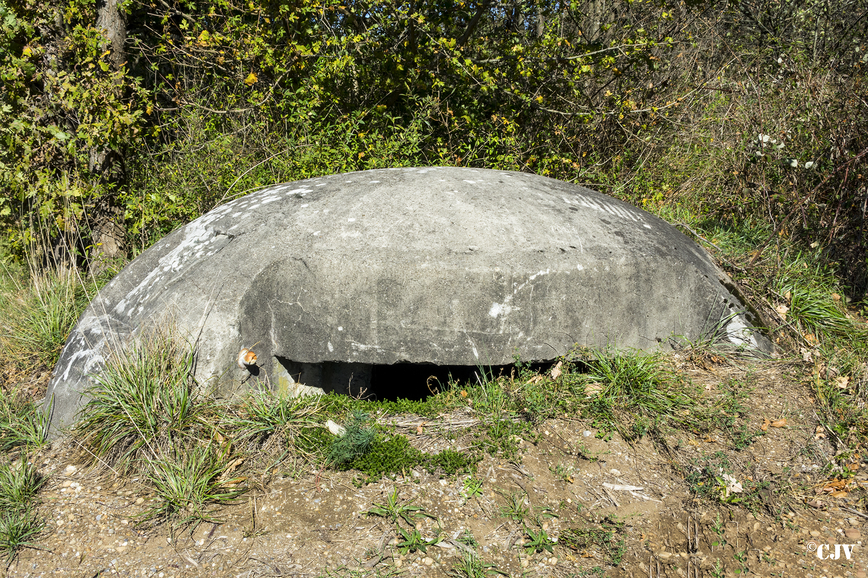 Ligne Maginot - HETTENSCHLAG 1 - (Blockhaus pour arme infanterie) -  - Lia VERMEULEN