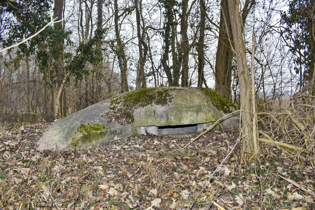 Ligne Maginot - SAULOCH - KUHSPICK 1 - (Blockhaus pour arme infanterie) - La coupole dont le blason et le cartouche ont disparu. - Daniel Froehly