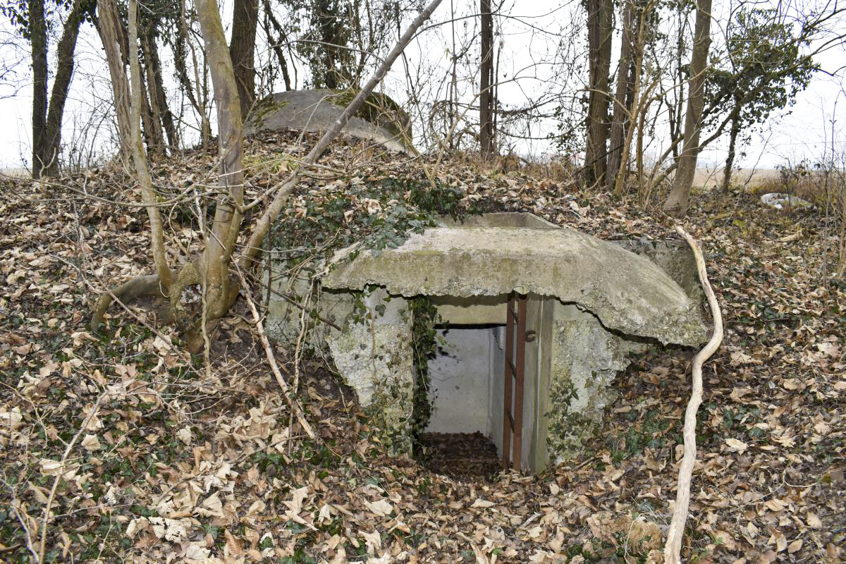 Ligne Maginot - SAULOCH - KUHSPICK 1 - (Blockhaus pour arme infanterie) - L'entrée sud, mixte, avec sortie directe et en puits avec son échelle. - Daniel Froehly
