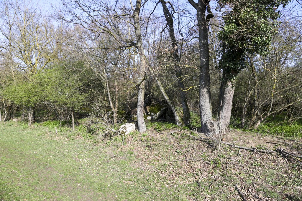 Ligne Maginot - LANGZUG 1 - (Blockhaus pour arme infanterie) - La coupole disloquée - Alain Perouffe