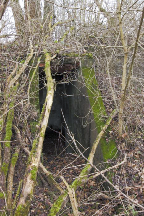 Ligne Maginot - LANGER ZUG 1 (Abri) - Entrée d'un premier abri annexe