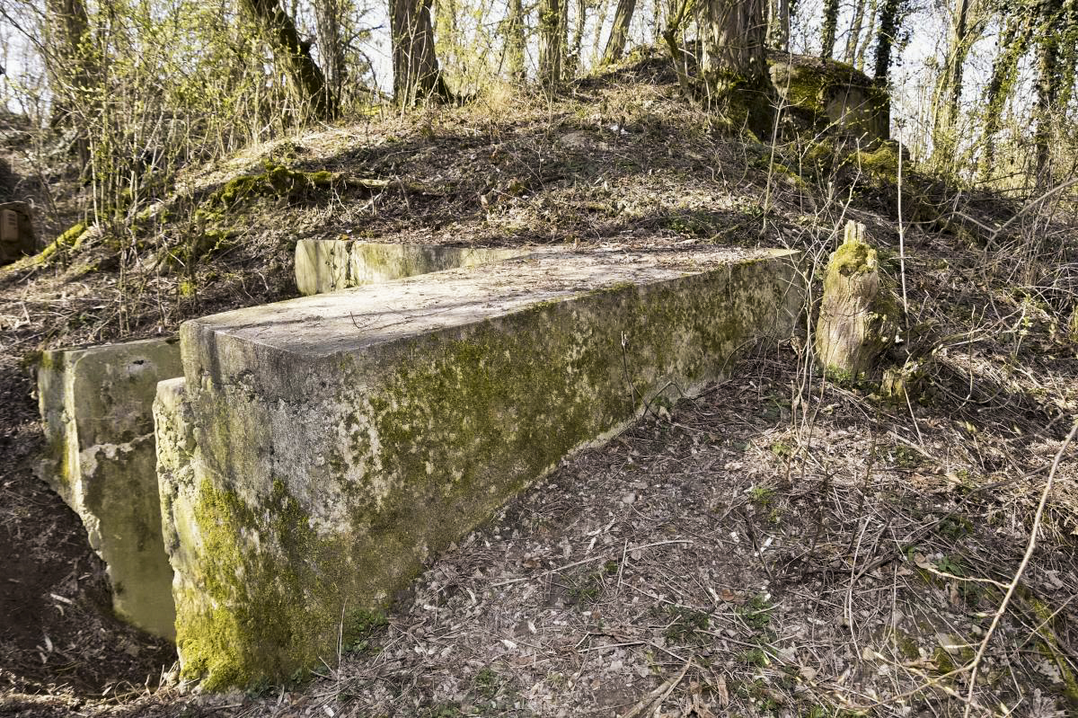 Ligne Maginot - OBERSAASHEIM OUVRAGE 1 - (Blockhaus pour arme infanterie) - Entrée est