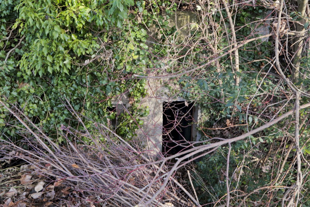 Ligne Maginot - PONT DE BATEAU OUEST 2 - (Blockhaus pour arme infanterie) - Facade de l'abri - Les Gardiens du Rhin