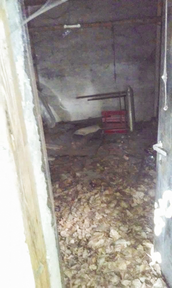 Ligne Maginot - PONT DE BATEAU OUEST 2 - (Blockhaus pour arme infanterie) - L'entrée du blockhaus. - 42RIF