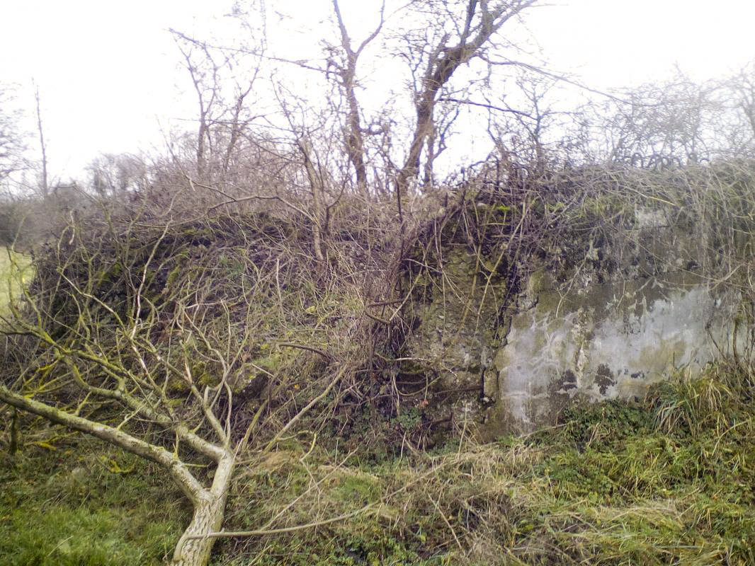Ligne Maginot - THIERBACH 2 - (Blockhaus de type indéterminé) - Vue d'ensemble.