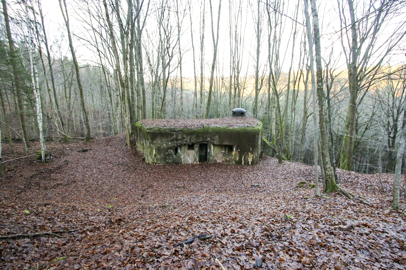 Ligne Maginot - MARKBACH - (Blockhaus pour arme infanterie) - Vue sur l'entrée
