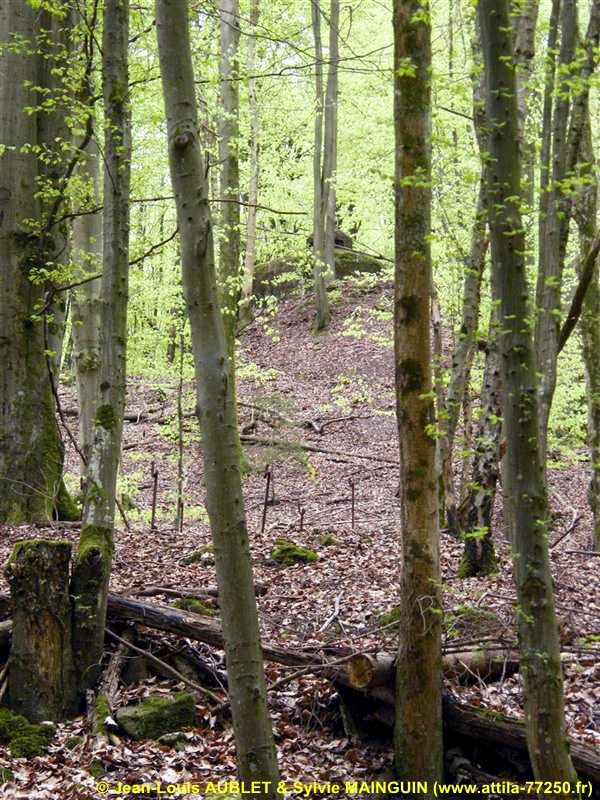 Ligne Maginot - MARKBACH - (Blockhaus pour arme infanterie) - Vue vers la cloche GFM