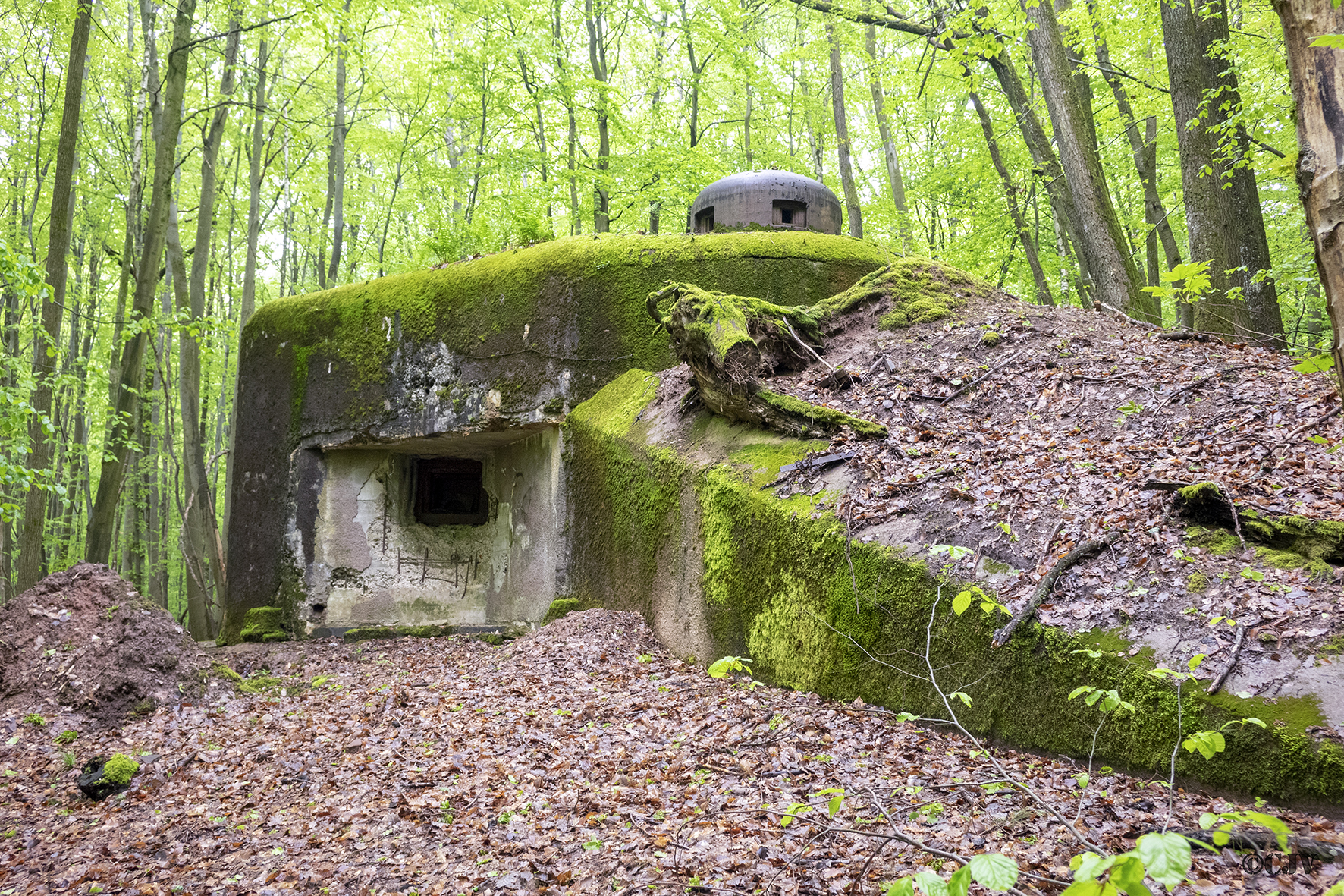 Ligne Maginot - VERRERIE - (Blockhaus pour arme infanterie) - 