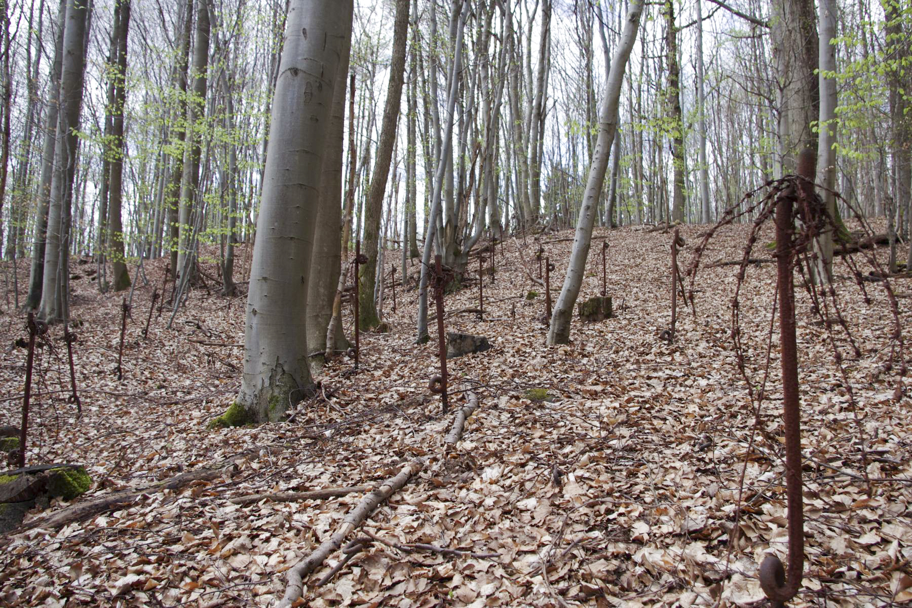 Ligne Maginot - VERRERIE - (Blockhaus pour arme infanterie) - Le réseau anti-personnel autour de la casemate