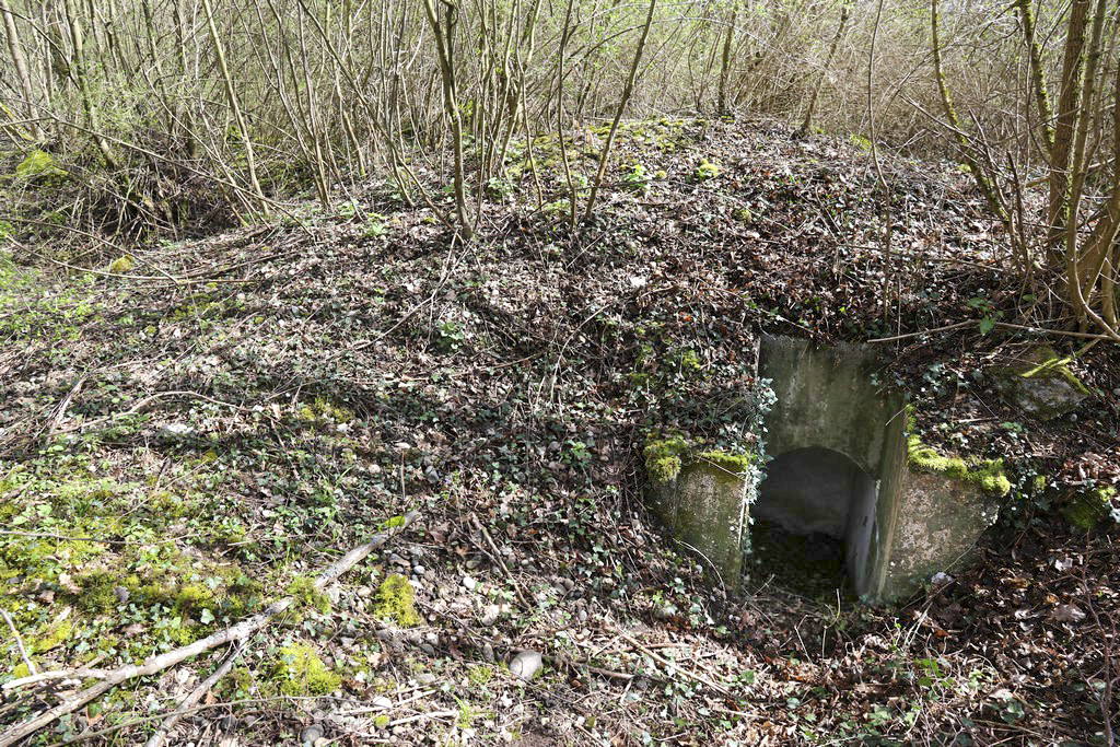 Ligne Maginot - WOLFGANTZEN NORD OUEST 3 - (Blockhaus pour arme infanterie) - Massif du bloc. Entrée sud