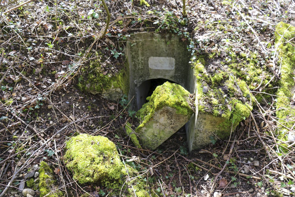 Ligne Maginot - WOLFGANTZEN NORD OUEST 3 - (Blockhaus pour arme infanterie) - Entrée nord - Alain Perouffe