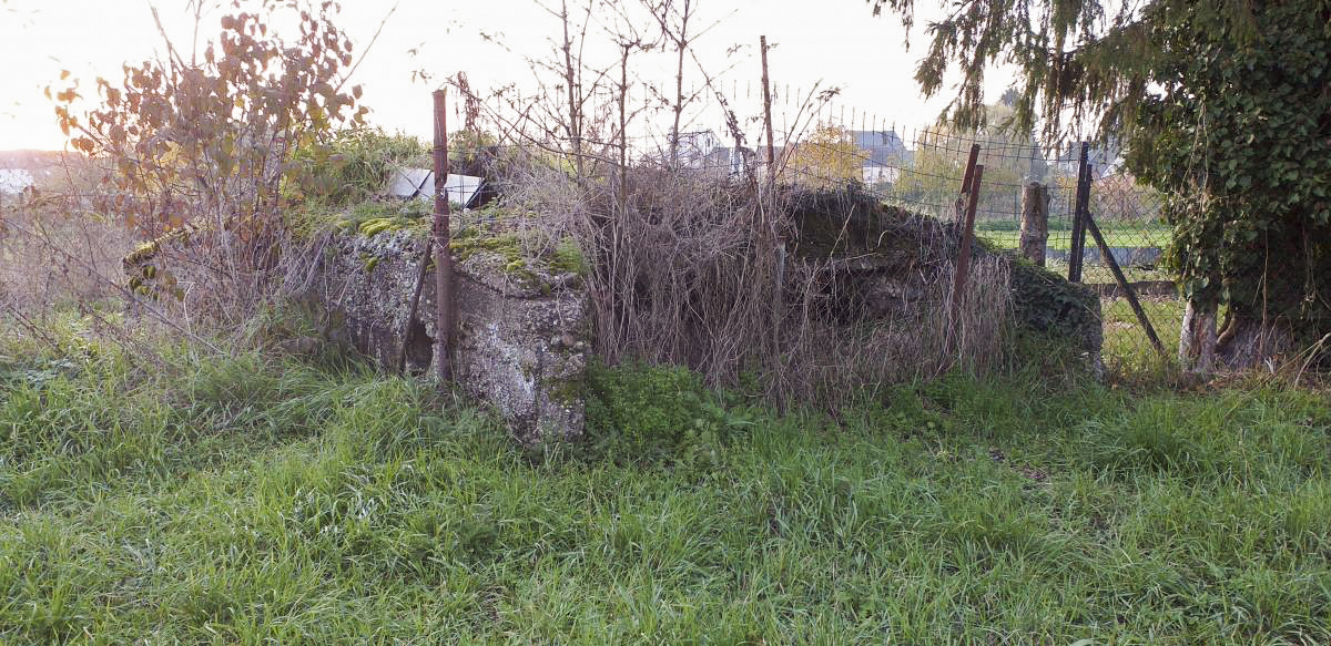 Ligne Maginot - 31 - WOLFSCHIESS NORD - (Blockhaus pour arme infanterie) -  - Gregory Fuchs