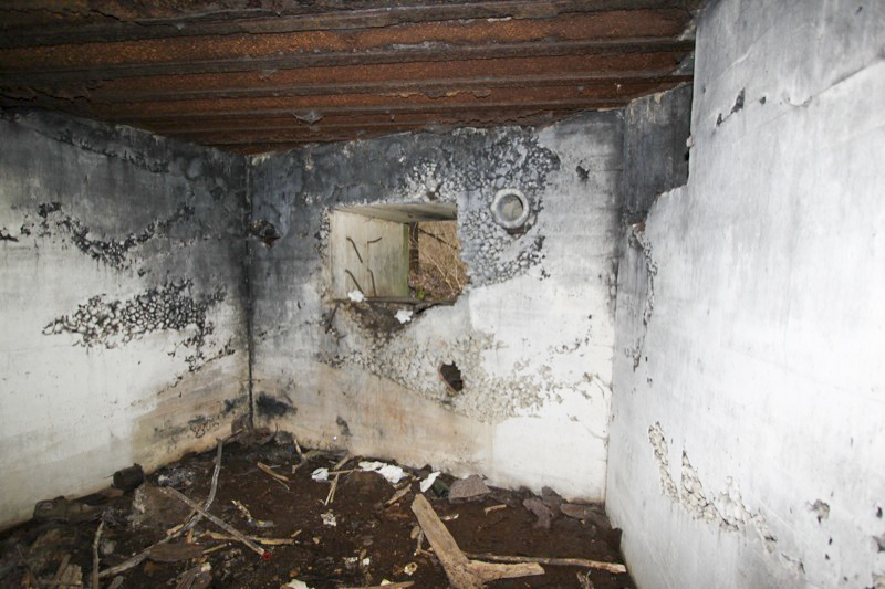 Ligne Maginot - 34 - THALERKOPF - (Casemate d'infanterie - Simple) - L'embrasure sud