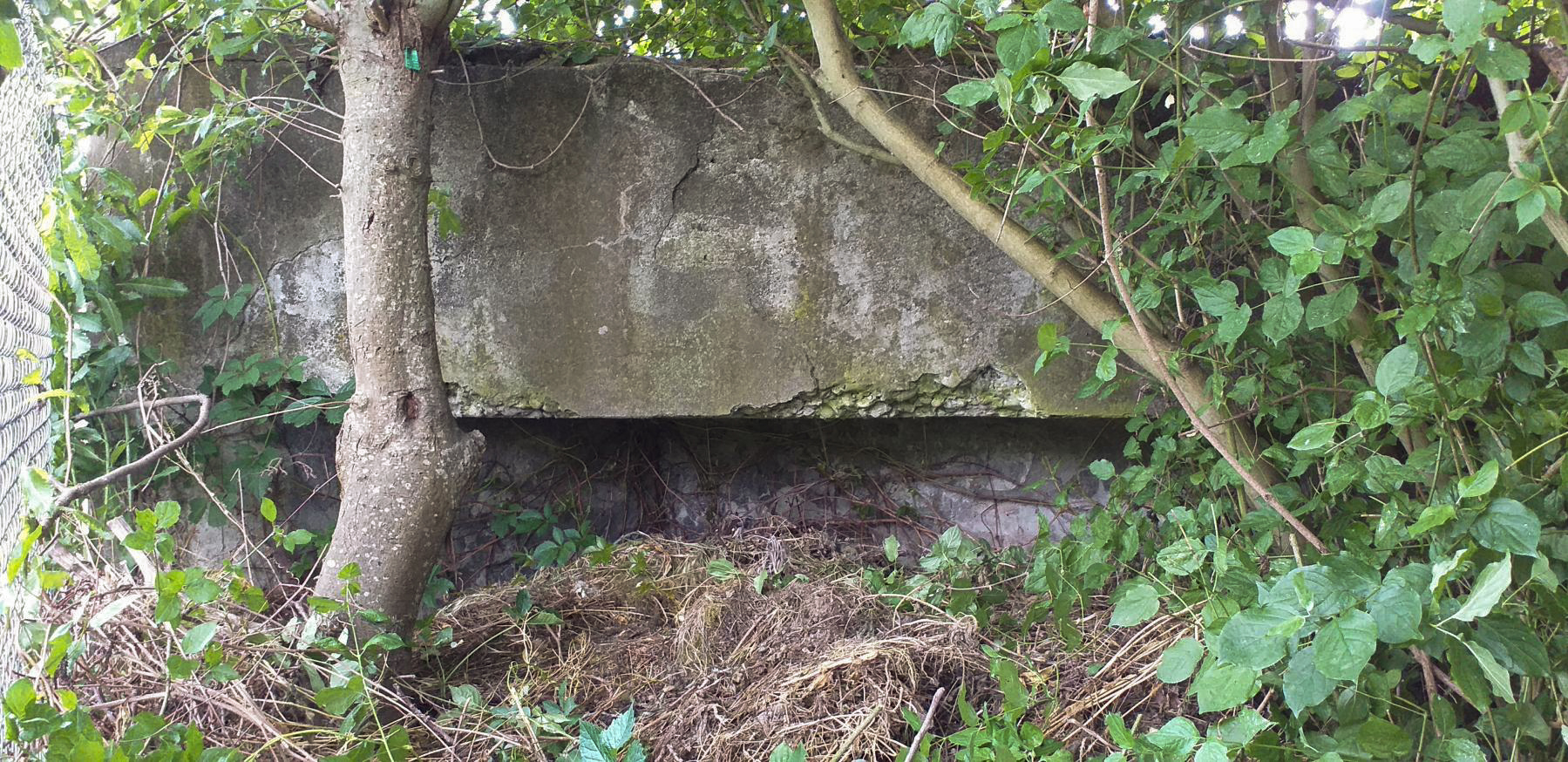 Ligne Maginot - 39 - BASSIN AUBERGER - (Blockhaus pour arme infanterie) - Créneau (muré)