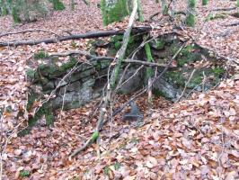 Ligne Maginot - ROTHENBOURG 2 - (Cuve pour arme d'infanterie) - La position d'infanterie