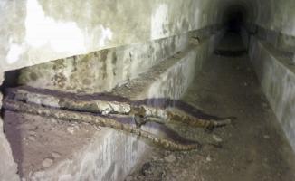 Ligne Maginot - FROHMUHL (PC DU QUARTIER KAPELLENHOF - II/153° RIF) - (Abri) - Entrée de cables téléphoniques dans l'égout