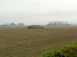 Ligne Maginot - BEF 724 - LE BEAU CHENE EST - (Blockhaus pour arme infanterie) - 
