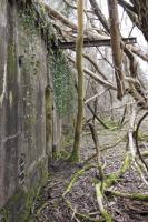 Ligne Maginot - BATTERIE DES PAYSANS - (Cuve pour canon) - L'abri à munitions M 74
Noter le rail au-dessus d'une entrée destiné à un palan de manutention