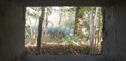Ligne Maginot - BLAUELSANDKOEPFEL - (Blockhaus pour arme infanterie) - Vue depuis le créneau frontal (bras mort du Rhin)