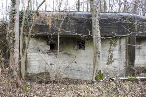 Ligne Maginot - BLAUELSAND - (Casemate d'infanterie - Simple) - Vue générale