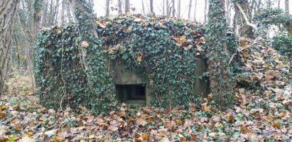 Ligne Maginot - FORT FOCH GLACIS - (Blockhaus pour arme infanterie) - Créneau FM