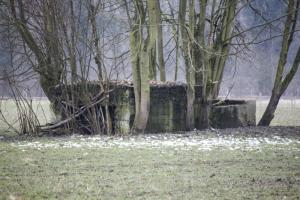 Ligne Maginot - Blockhaus  du GROSSBELTZWOERTH Est - 