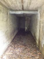 Ligne Maginot - HAUTE DIGUE 5 - (Blockhaus pour arme infanterie) - Noter le tubage en partie haute protégeant des cables longeant la digue, peut être mis en place après guerre