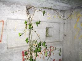 Ligne Maginot - HAUTE DIGUE 5 - (Blockhaus pour arme infanterie) - Créneau droit de défense rapprochée de l'entrée