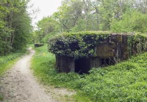 Ligne Maginot - HAUTE DIGUE 8 - (Blockhaus pour arme infanterie) - L'entrée est visible sur la photo avec le créneau sud.
L'entrée du bloc 9 est visible à l'arrière plan