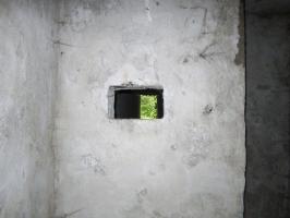 Ligne Maginot - HAUTE DIGUE 6 - (Blockhaus pour arme infanterie) - Chambre de tir
Créneau de défense rapprochée de la galerie