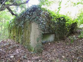 Ligne Maginot - HAUTE DIGUE 9 - (Blockhaus pour arme infanterie) - Créneau mitrailleuse gauche (nord)