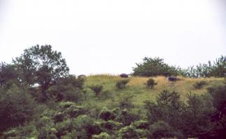 Ligne Maginot - EINSELING NORD - C72 - (Casemate d'infanterie) - Vue sur les cloches