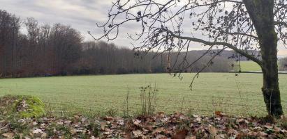 Ligne Maginot - DRACHENBRONN - (Blockhaus pour arme infanterie) - Direction de tir sur la lisière de l'Oberwald