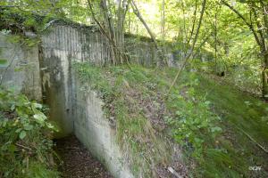 Ligne Maginot - DAUBENSAND 1 - (Abri) - 
