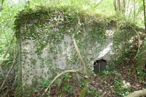 Ligne Maginot - DAUBENSAND 1 - (Abri) - 